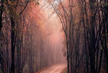 PG Soft Gaming-西悉尼流浪者防守反击战术成亮点，挑战欧洲豪强