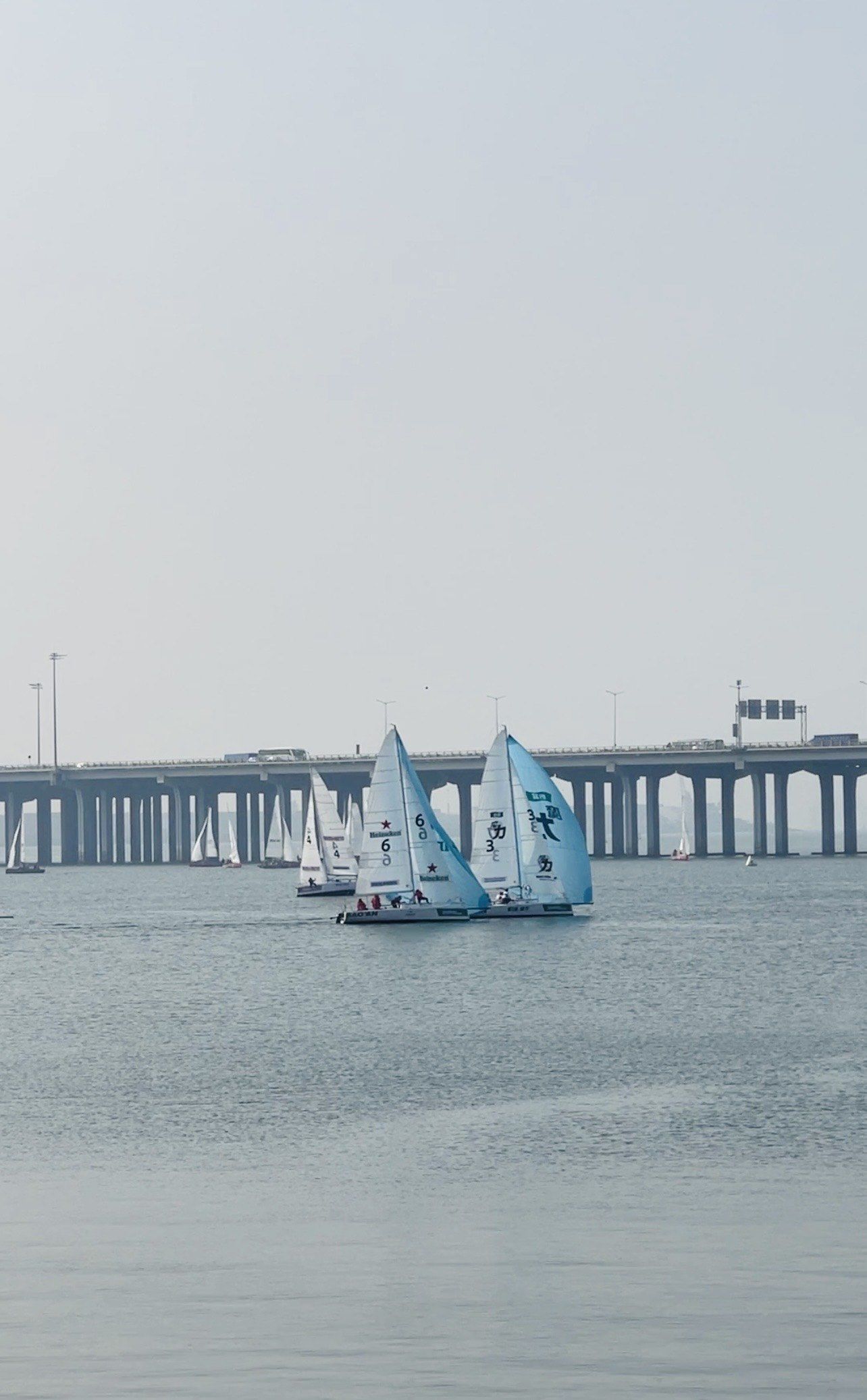 PG电子线上登入-挪威帆船选手飒爽英姿，一路高歌