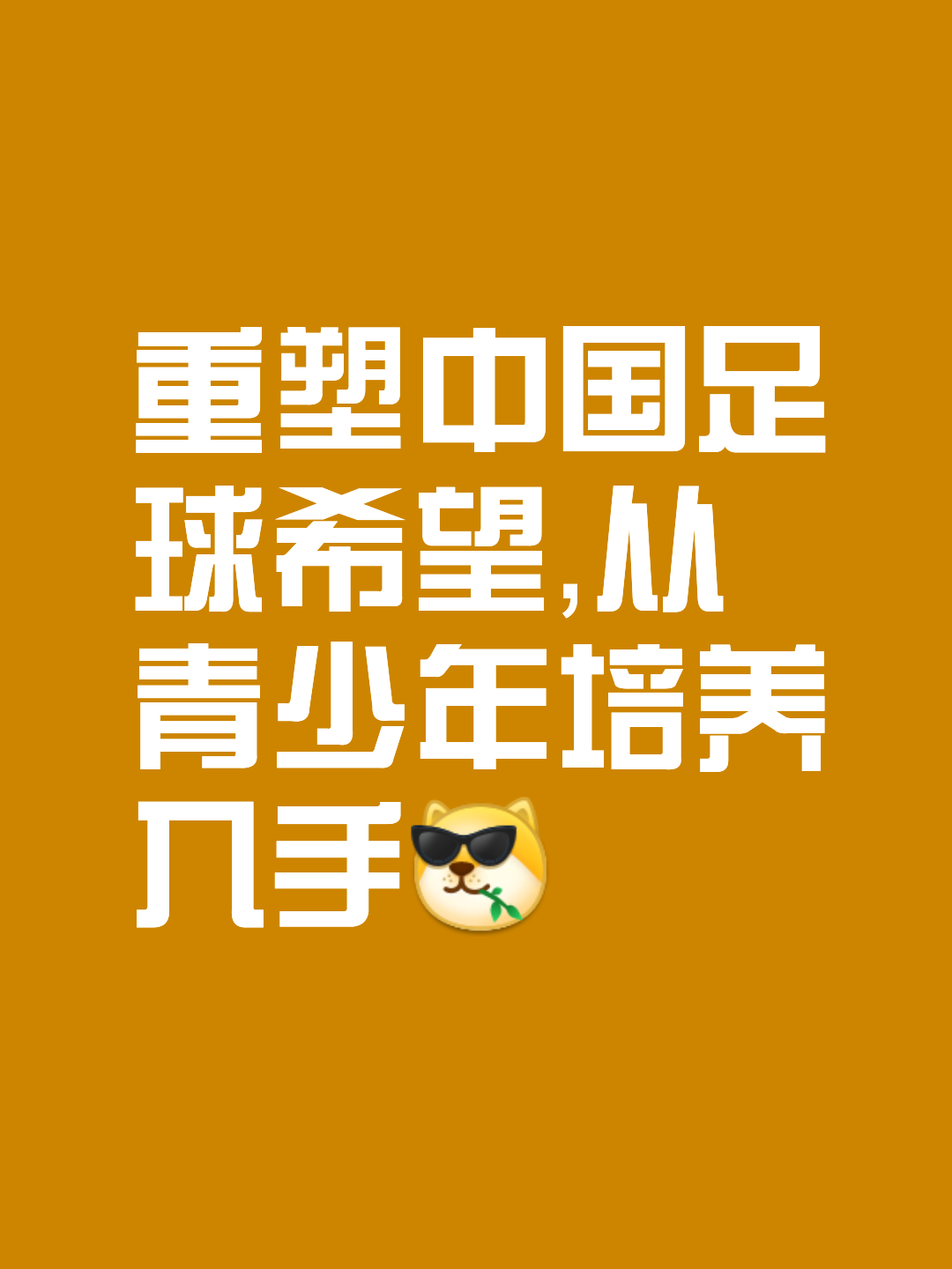 一场足球胜利,带来旺盛士气的简单介绍 一场足球胜利,带来旺盛士气的简单介绍