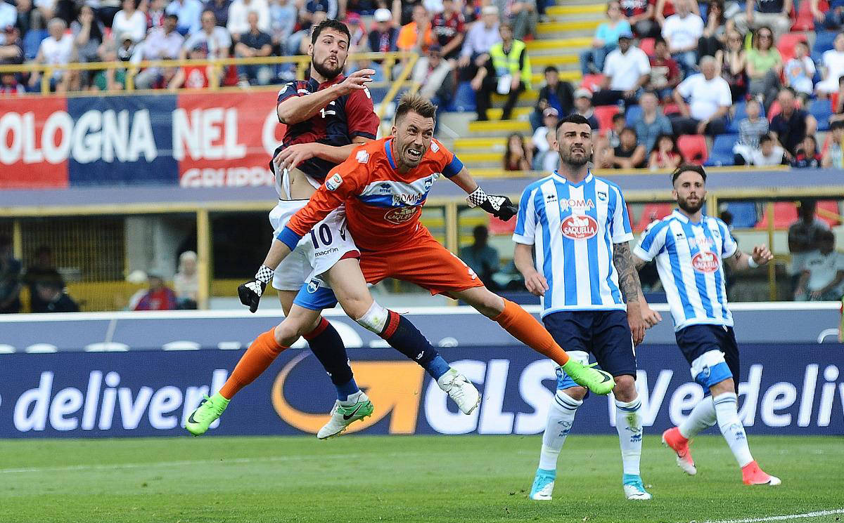 包含佛罗伦萨客场逆转击败弗罗西诺内,取得胜利的词条 包含佛罗伦萨客场逆转击败弗罗西诺内,取得胜利的词条