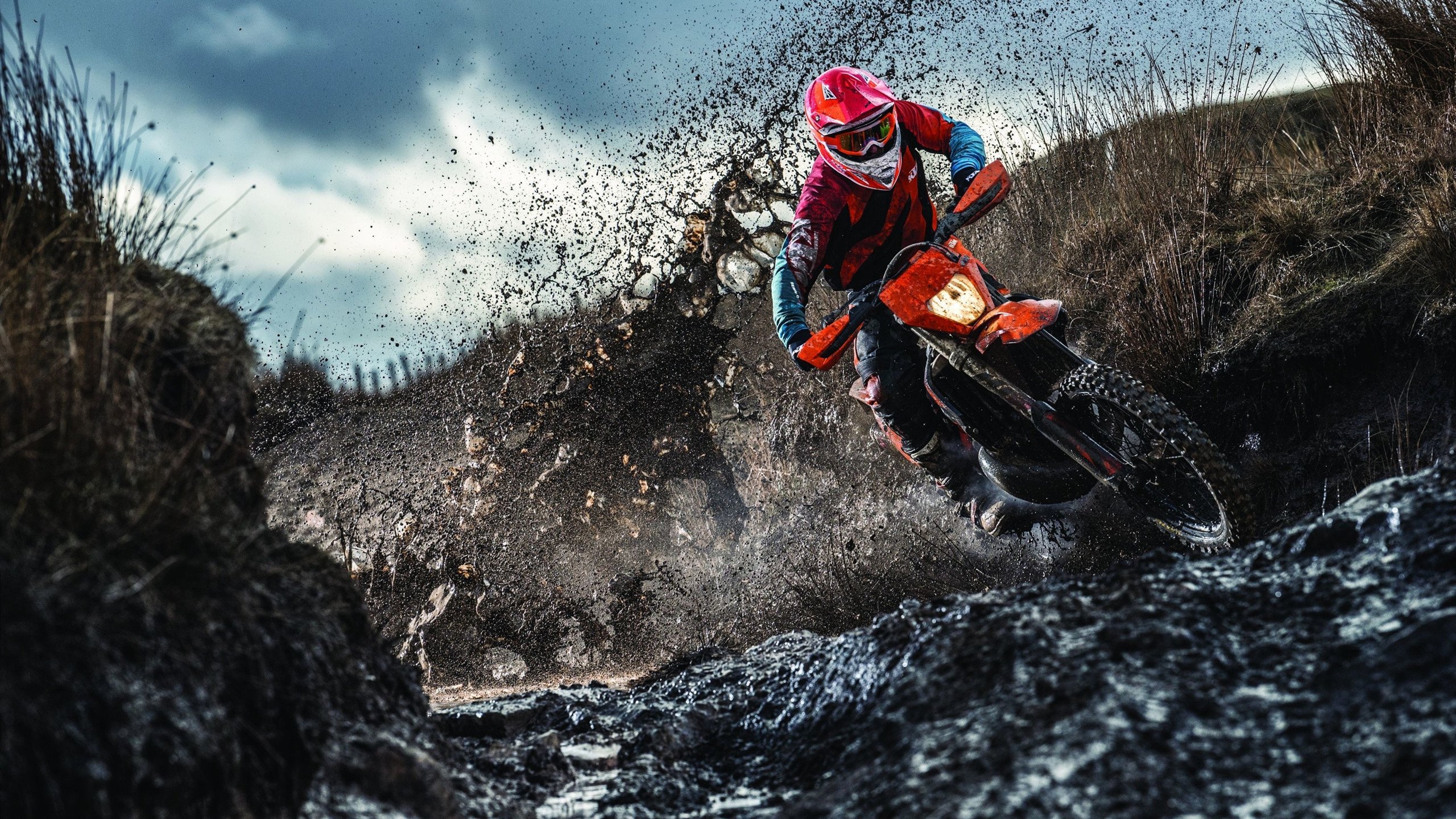 PG Soft Gaming-红节奏蓝刺刀，当加克波的完美交响，遇上勒沃库森的最后一声枪响