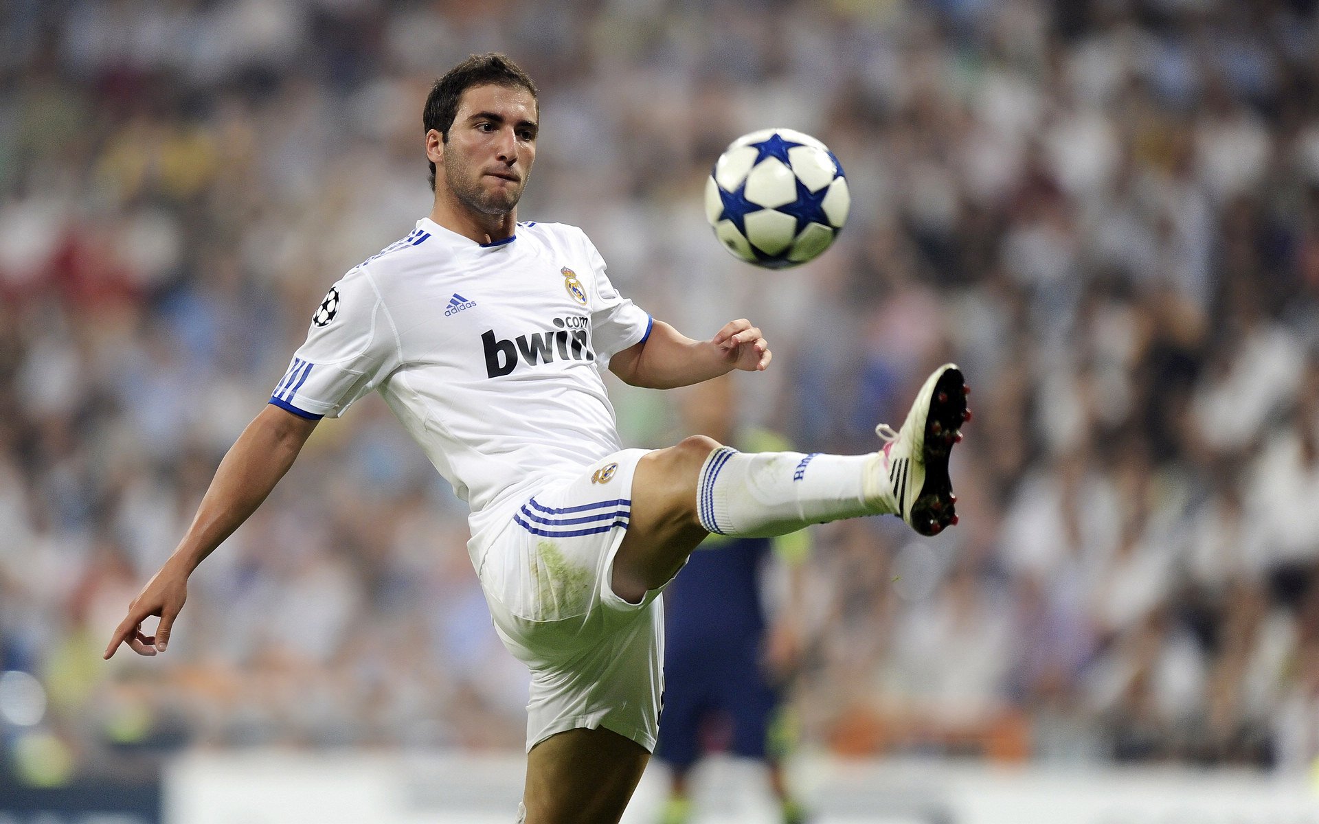 PG Soft Gaming-北境的画笔，京多安以实力作画，比利时如何划破翡冷翠的晨曦